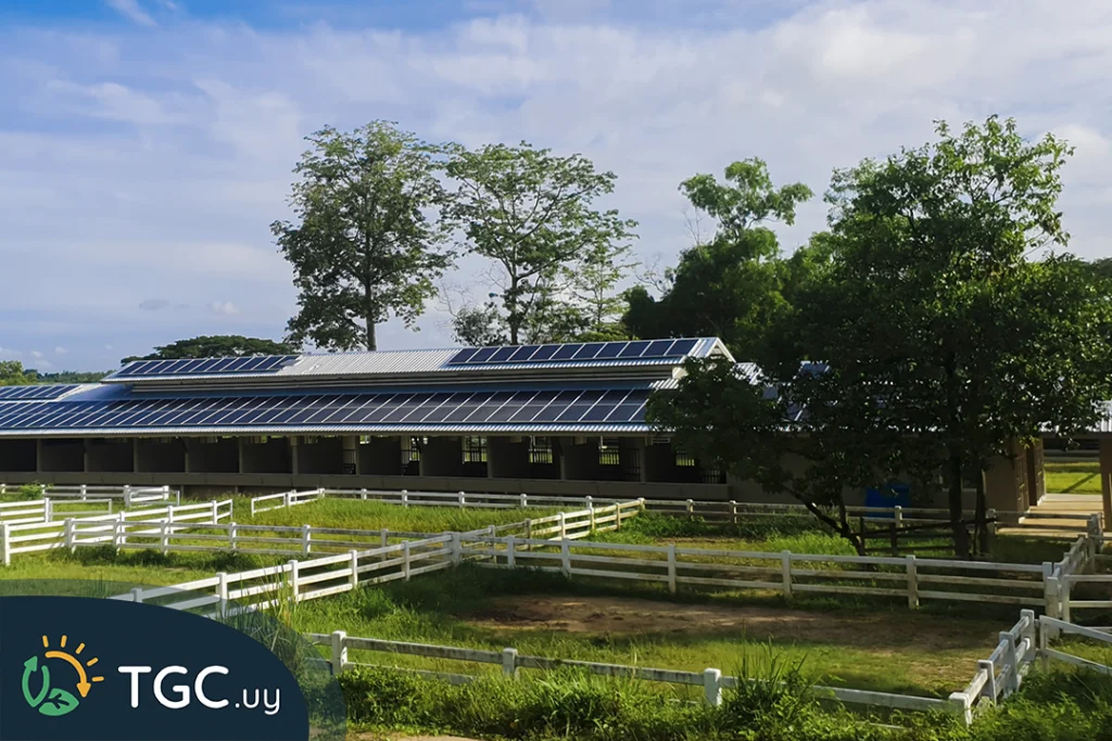 energia solar fotovoltaica