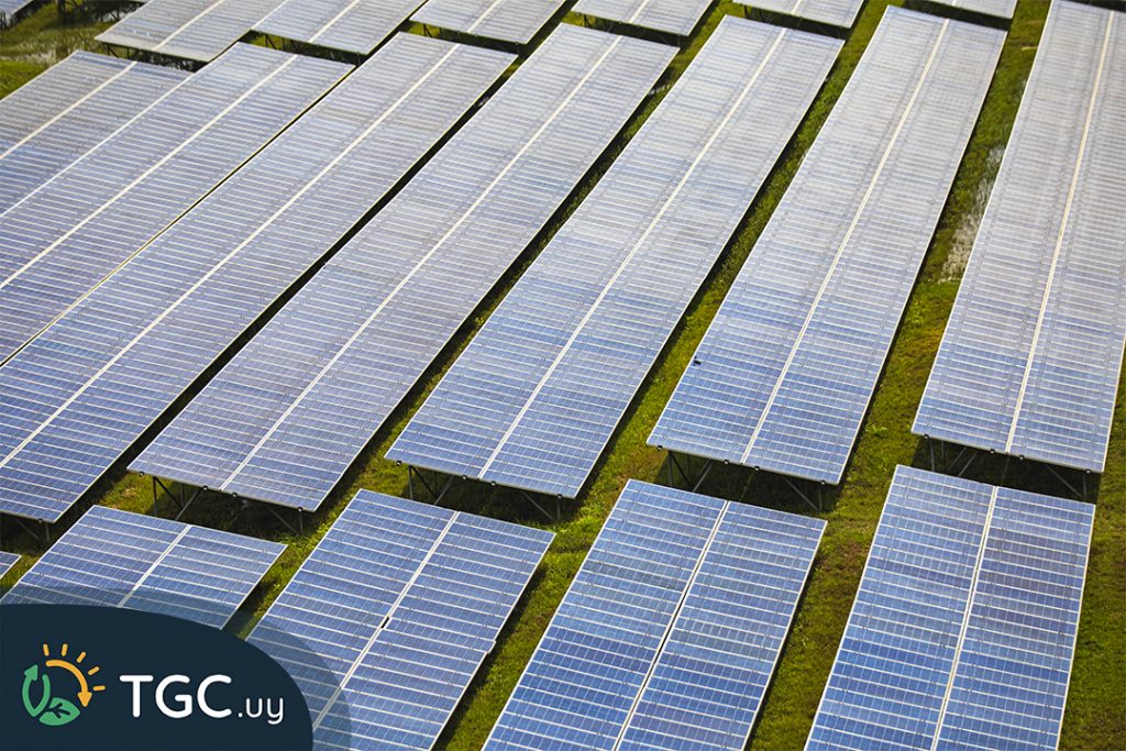 Mitos sobre la energía solar fotovoltaica: desmitificados