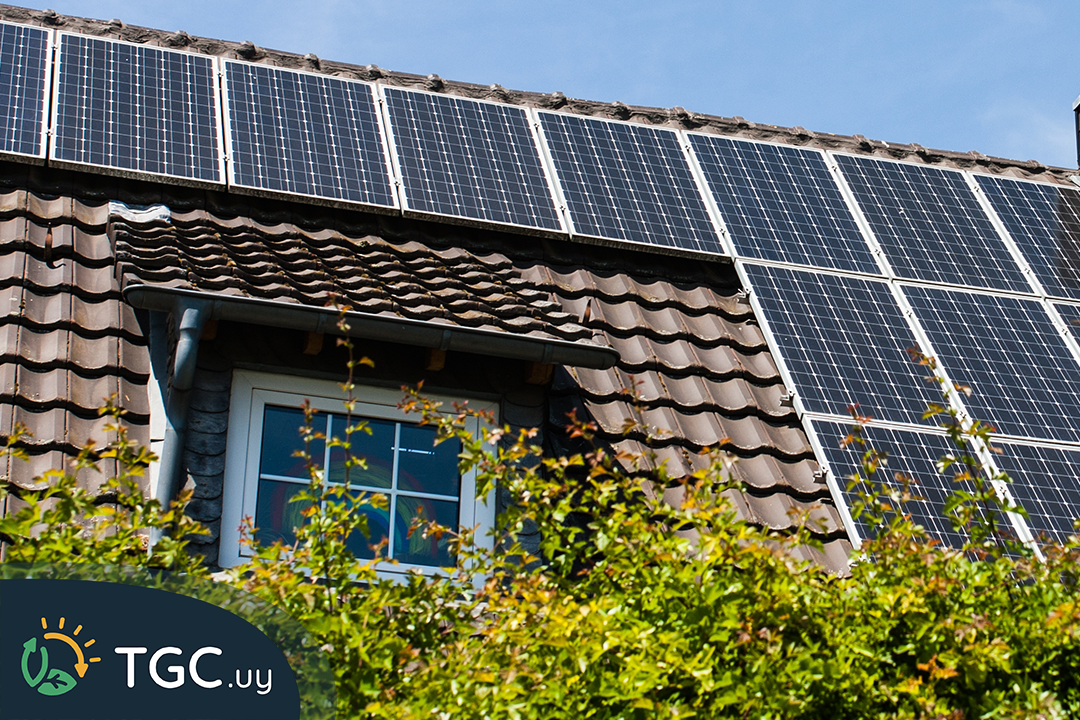Luz solar: cómo aprovecharla más allá de la generación eléctrica